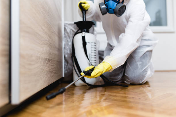 Best Ant Control Services  in Laurium, MI