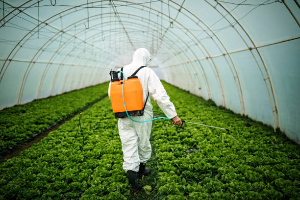 Best Residential Pest Control  in Laurium, MI