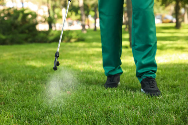 Best Pest Control Near Me  in Laurium, MI