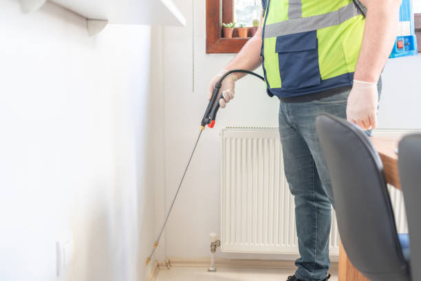 Best Affordable Pest Control Services  in Laurium, MI