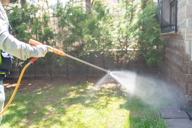Best Exterminator Services  in Laurium, MI