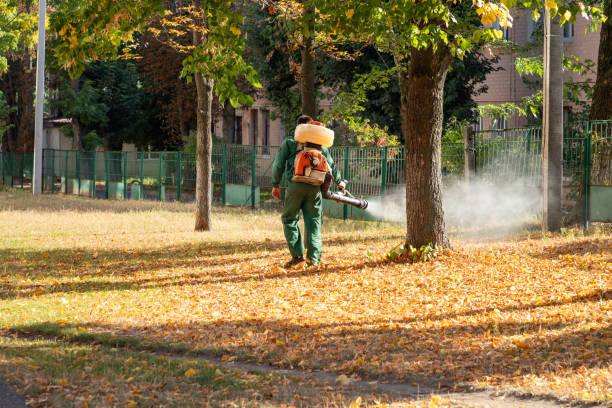 Best Emergency Pest Control  in Laurium, MI