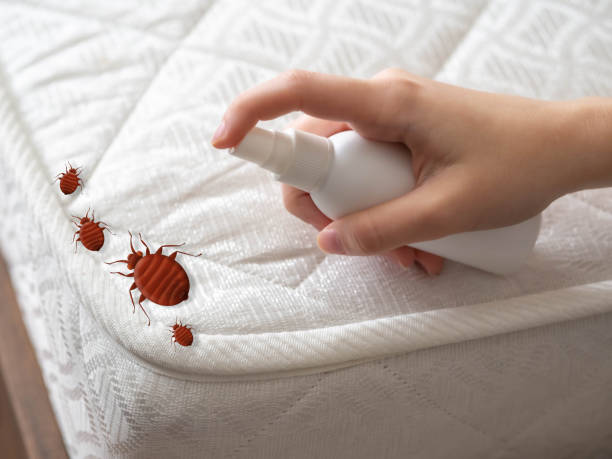 Best Local Pest Control Services  in Laurium, MI