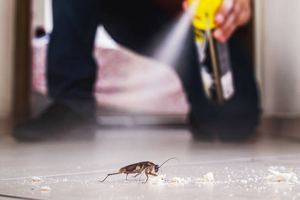 Best Cockroach Control Services  in Laurium, MI