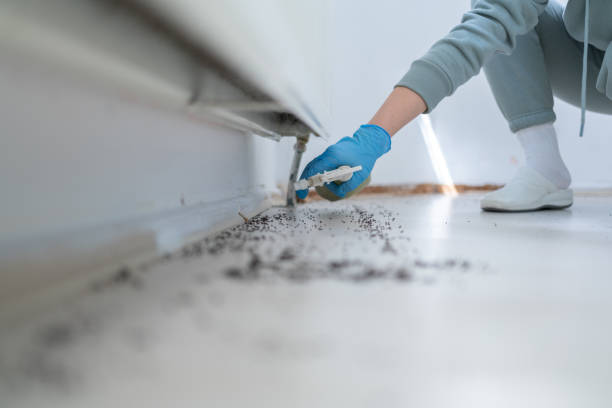 Best Pest Prevention Services  in Laurium, MI